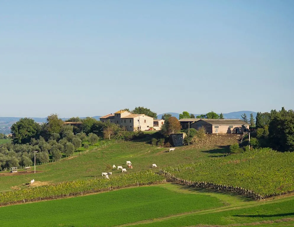 Agriturismo Andreini Villa Corsano  Italy