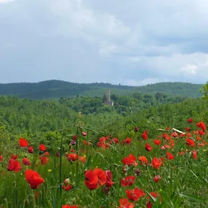 Casa vacanze Torre Di Sant'ansano, Corsano (Tuscany)